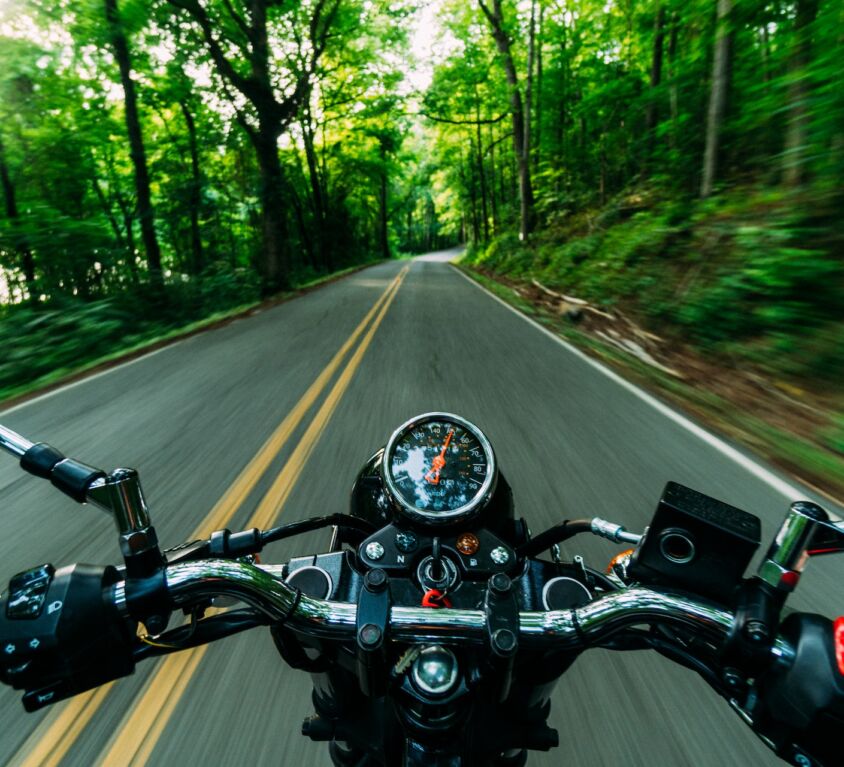 helmet camera picture of biker driving through forest