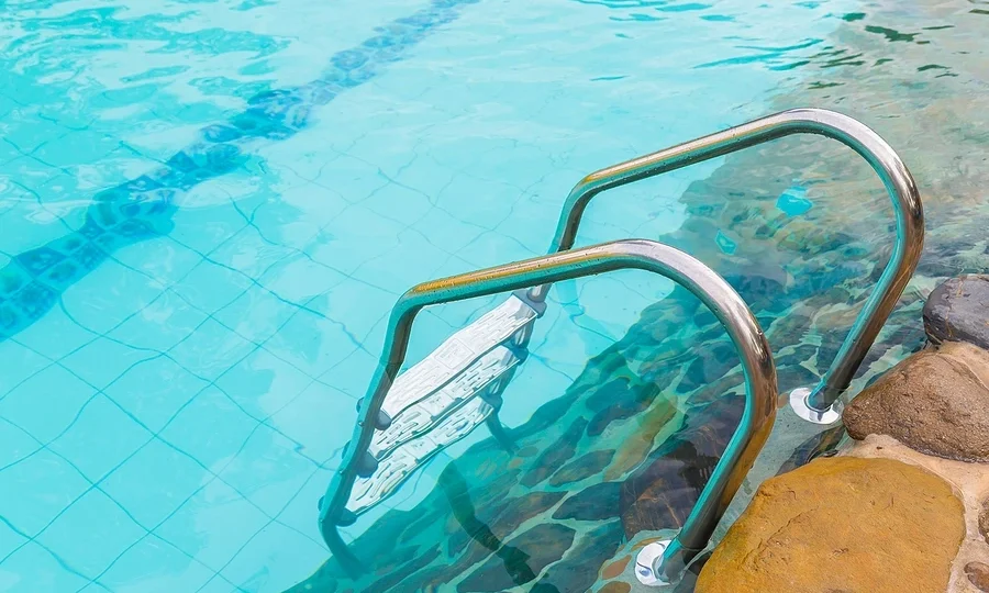 Swimming pool ladder