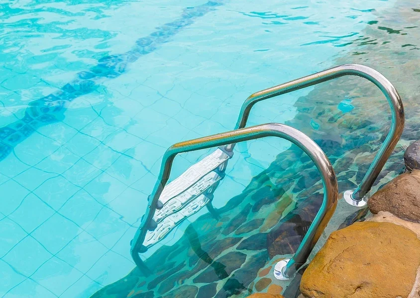 Swimming pool ladder